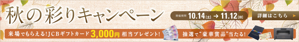 ½©¤ÎºÌ¤ê¥¥ã¥ó¥Ú¡¼¥ó