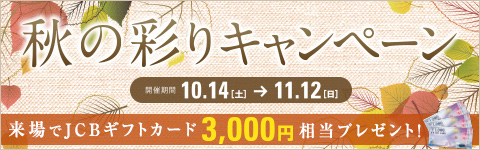 ½©¤ÎºÌ¤ê¥¥ã¥ó¥Ú¡¼¥ó