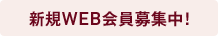 ����WEB����罸�桪