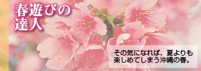 ��ͷ�Ӥ�ã��