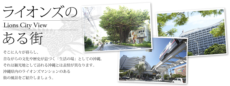 �饤���󥺤Τ��볹