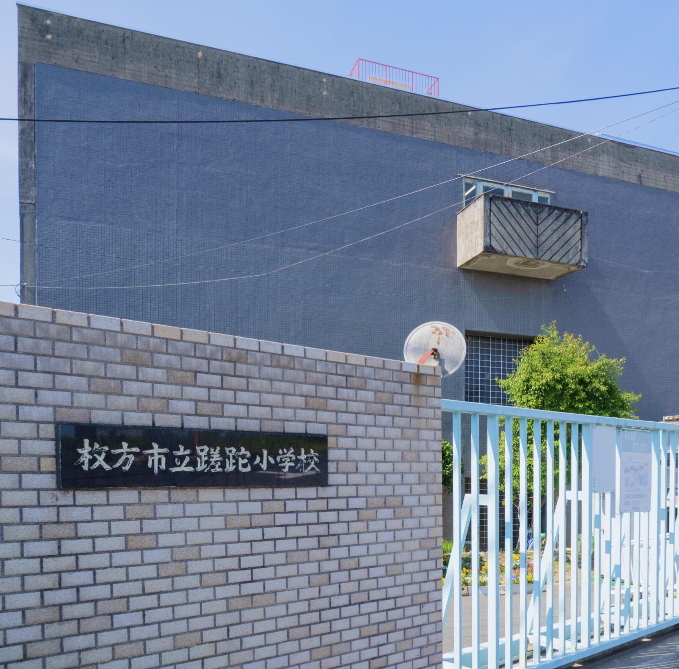 淀川河川公園　出口地区