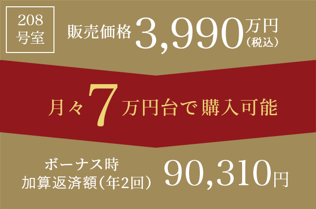 208号室 販売価格3,990万円 月々7万円台で購入可能