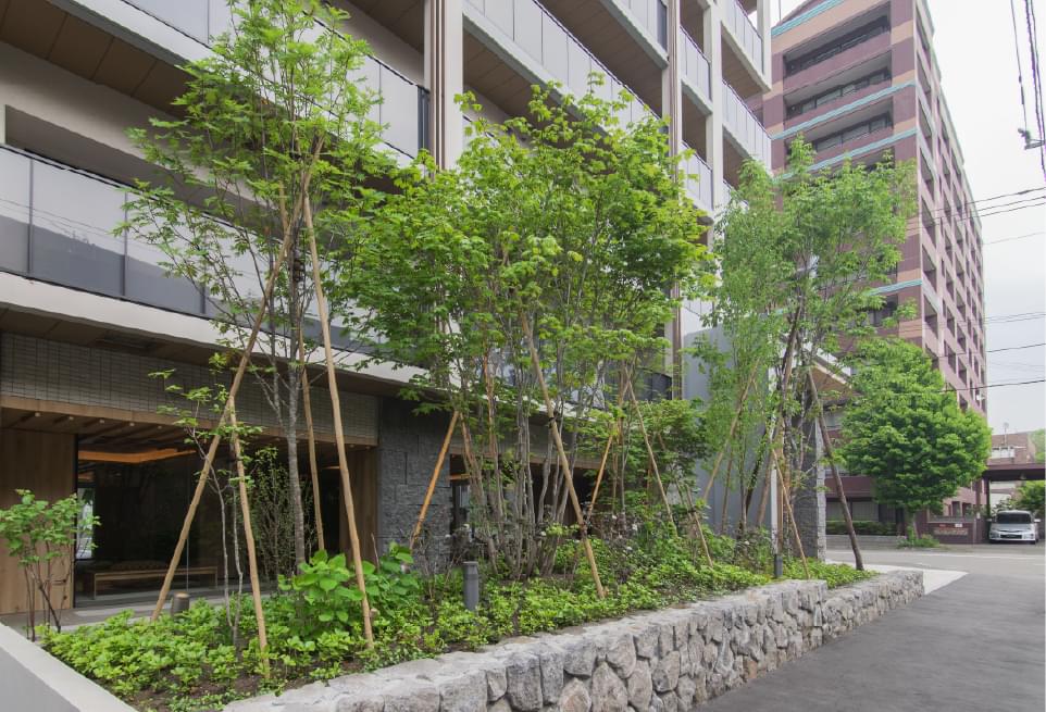 植栽