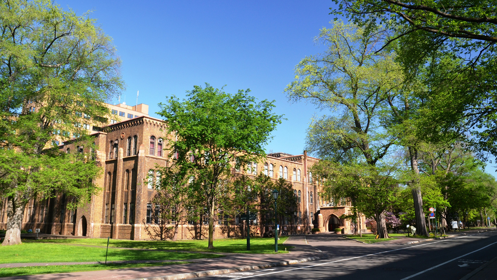 北海道大学
