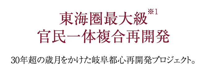 公式 ライオンズ岐阜プレミストタワー３５ 新築 分譲マンション 岐阜市 名鉄岐阜 駅 ライオンズマンションの大京