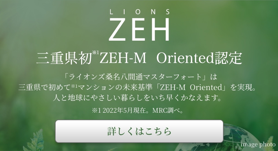 LIONS ZEH