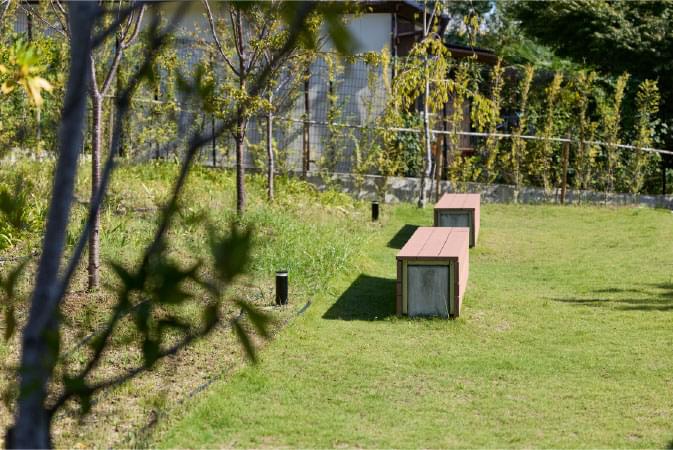 桜雅の庭 写真