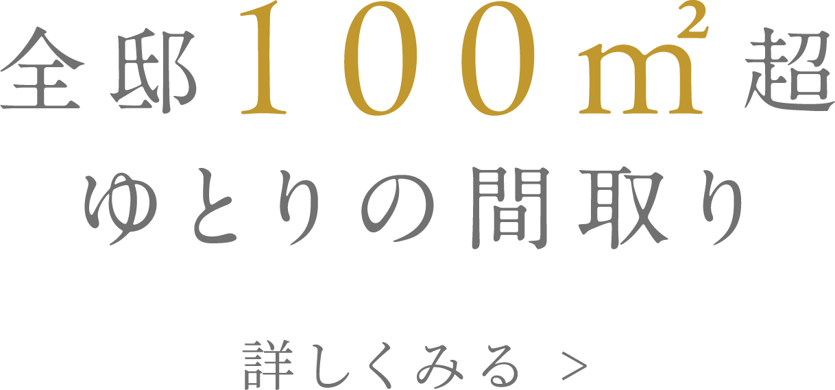 全邸100㎡超 ゆとりの間取り