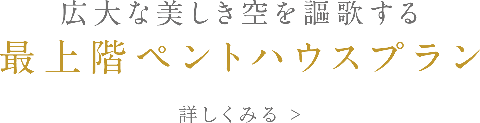 広大な美しき空を謳歌する最上階ペントハウスプラン