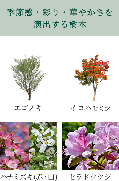 季節感・彩り・華やかさを演出する樹木