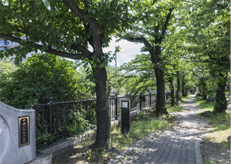 大江川緑道（1,030m・徒歩13分）