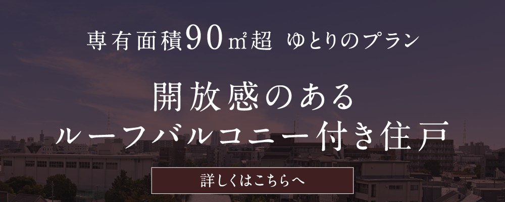 90㎡超ゆとりのプラン