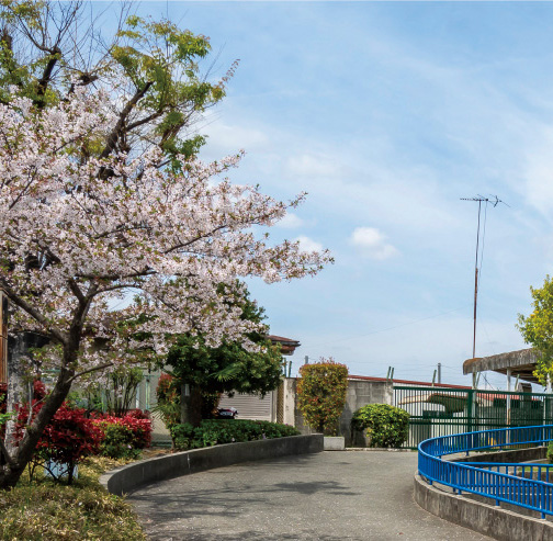 朝日橋公園