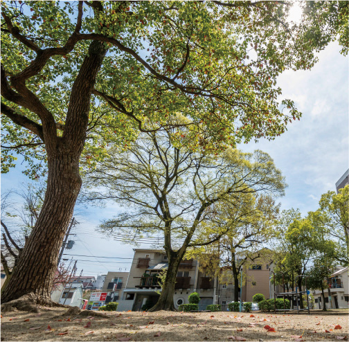 西九条西公園