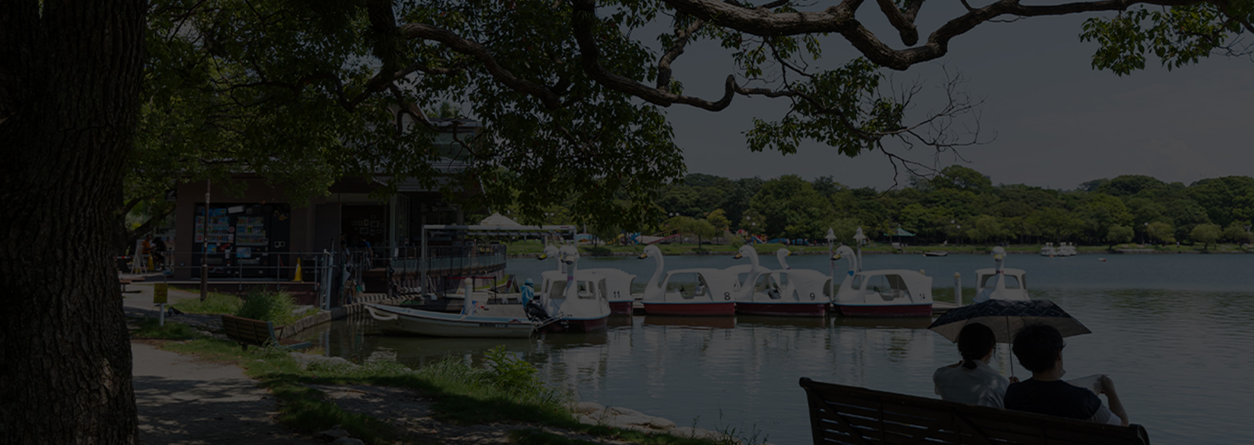 大濠公園（200m/徒歩3分）