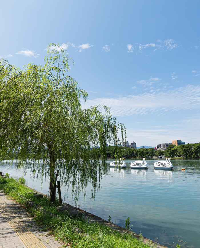 大濠公園（200m/徒歩3分）
