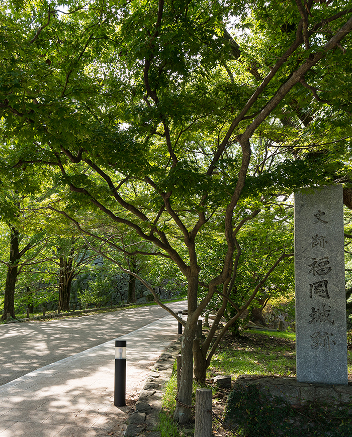 舞鶴公園（800m/徒歩10分）