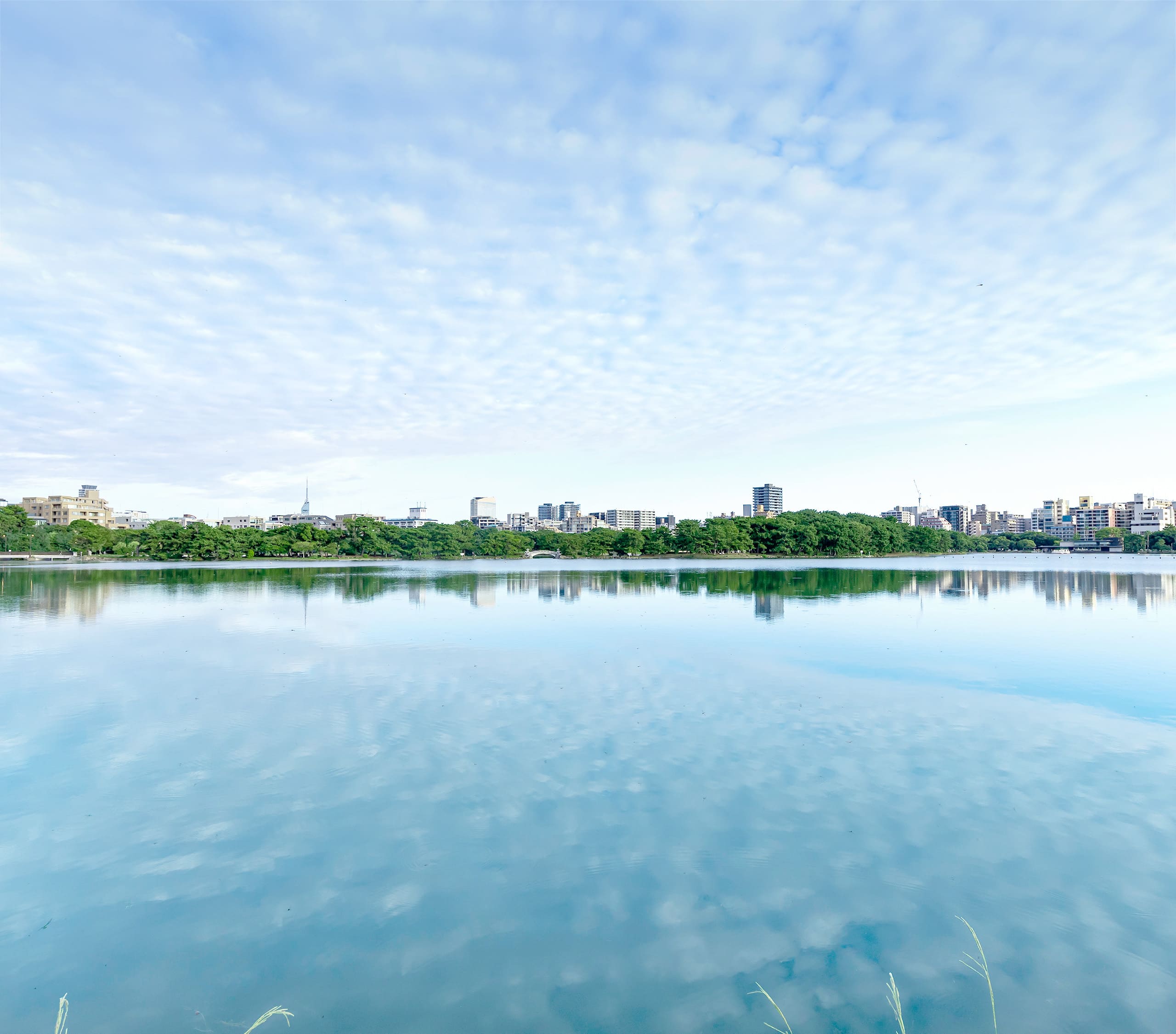 大濠公園（200m/徒歩3分）