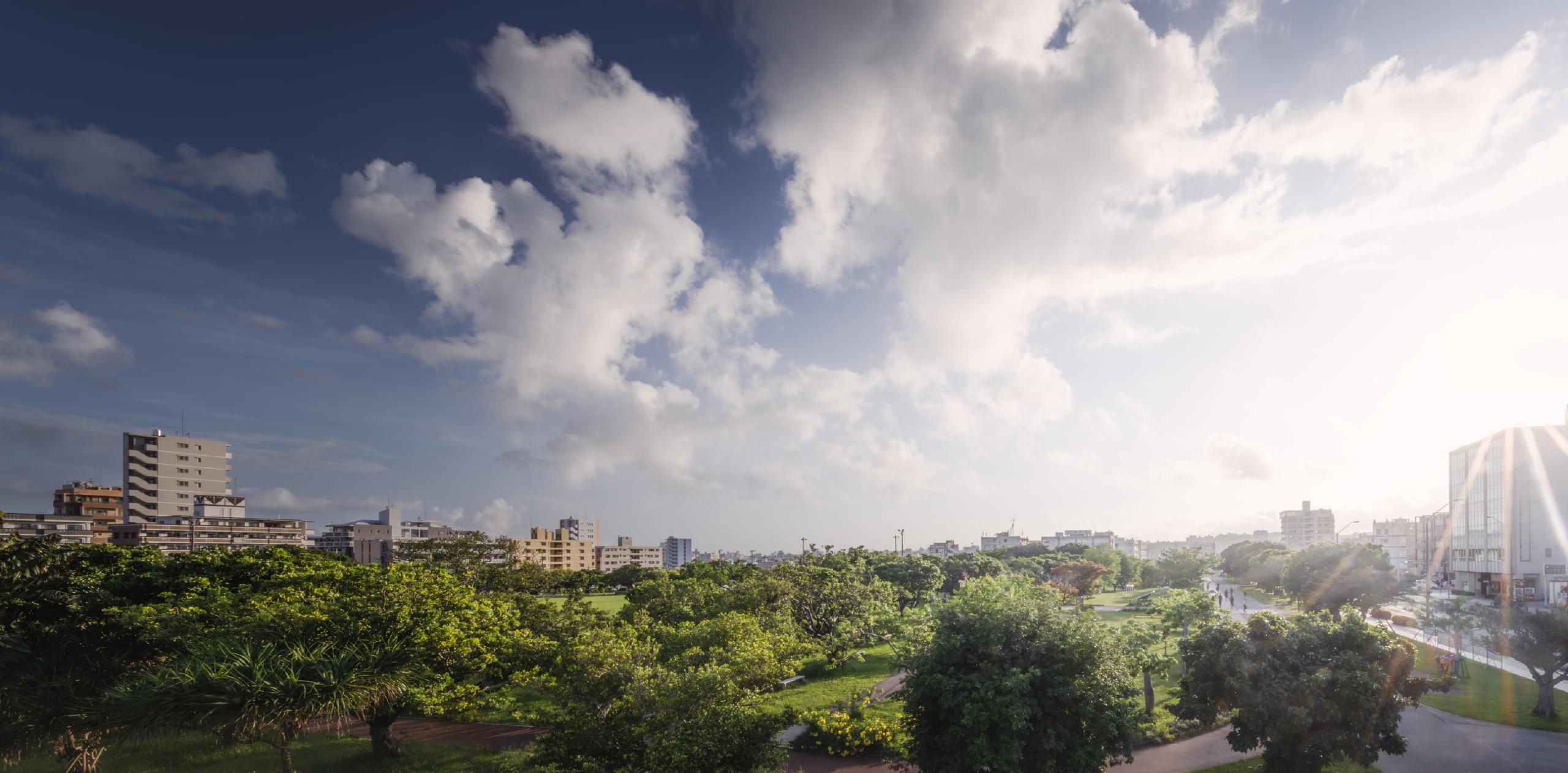 新都心公園（徒歩2分・130m）