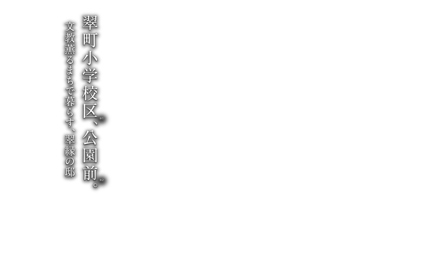 翠町小学校区公園前