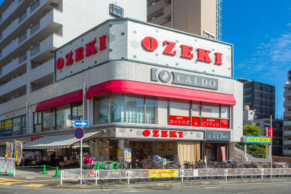 オオゼキつつじヶ丘店（徒歩11分／880m）