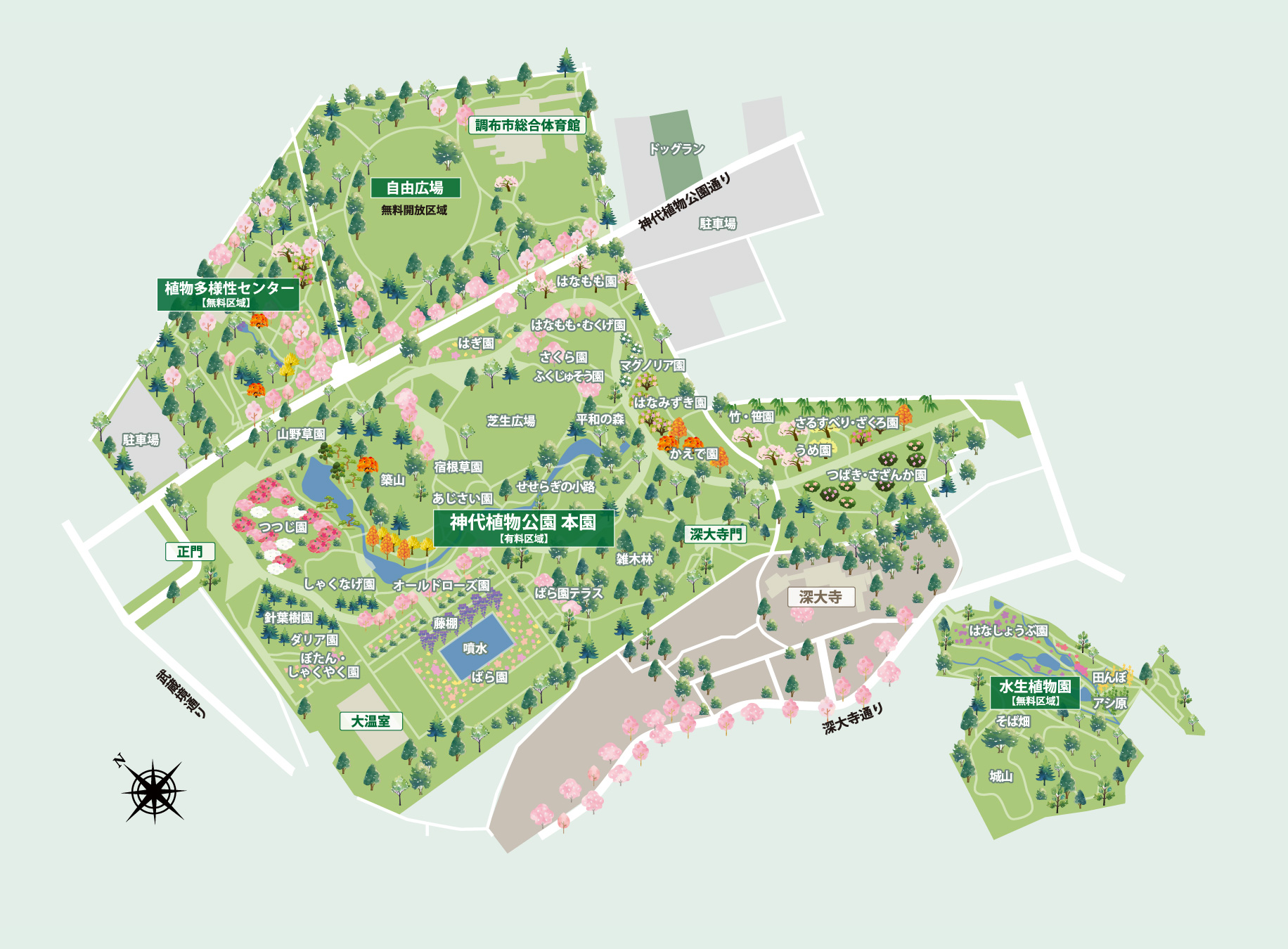 神代植物公園・深大寺イラストマップ