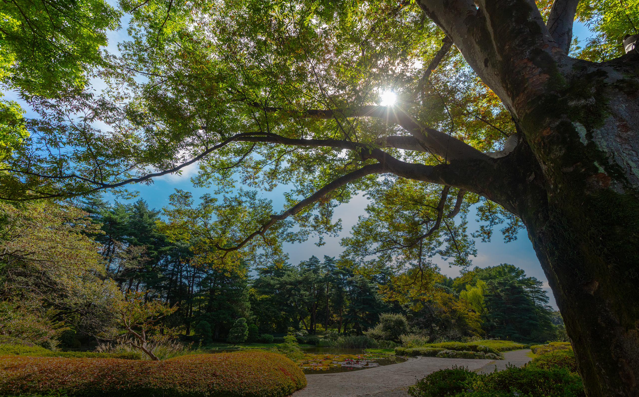 神代植物公園（約1,860m）