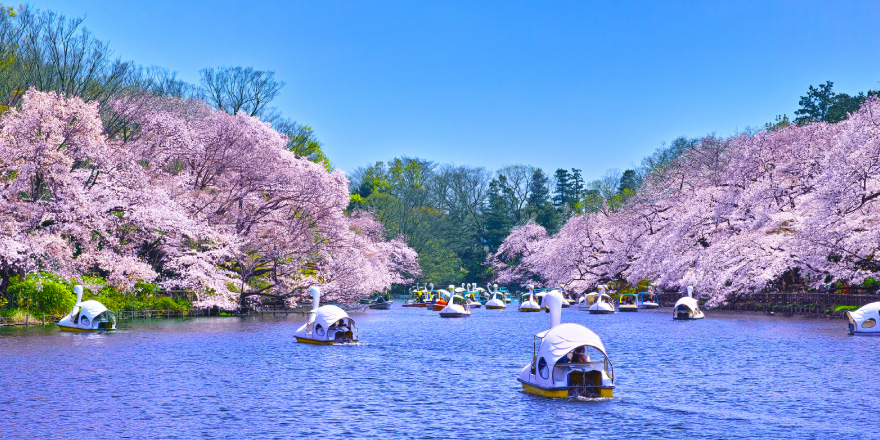 井の頭恩賜公園