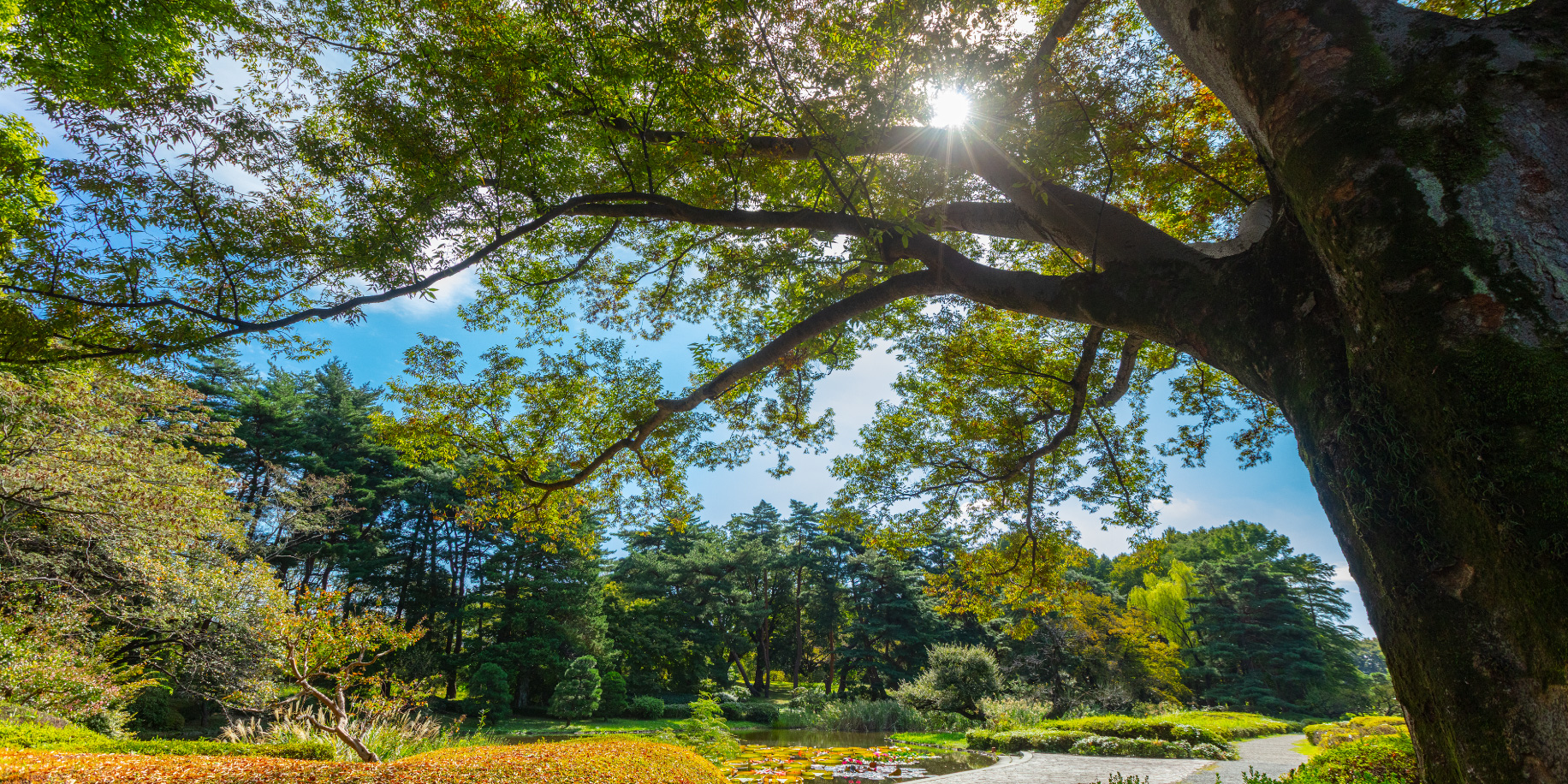 神代植物公園