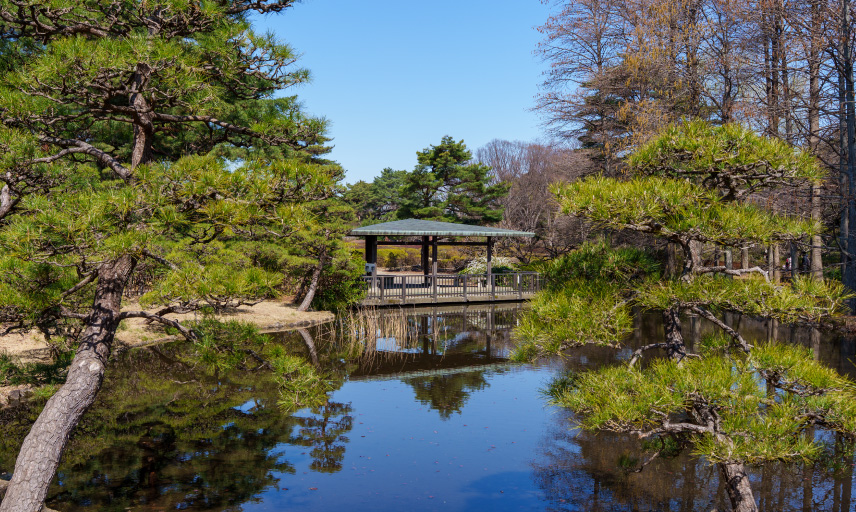 神代植物公園