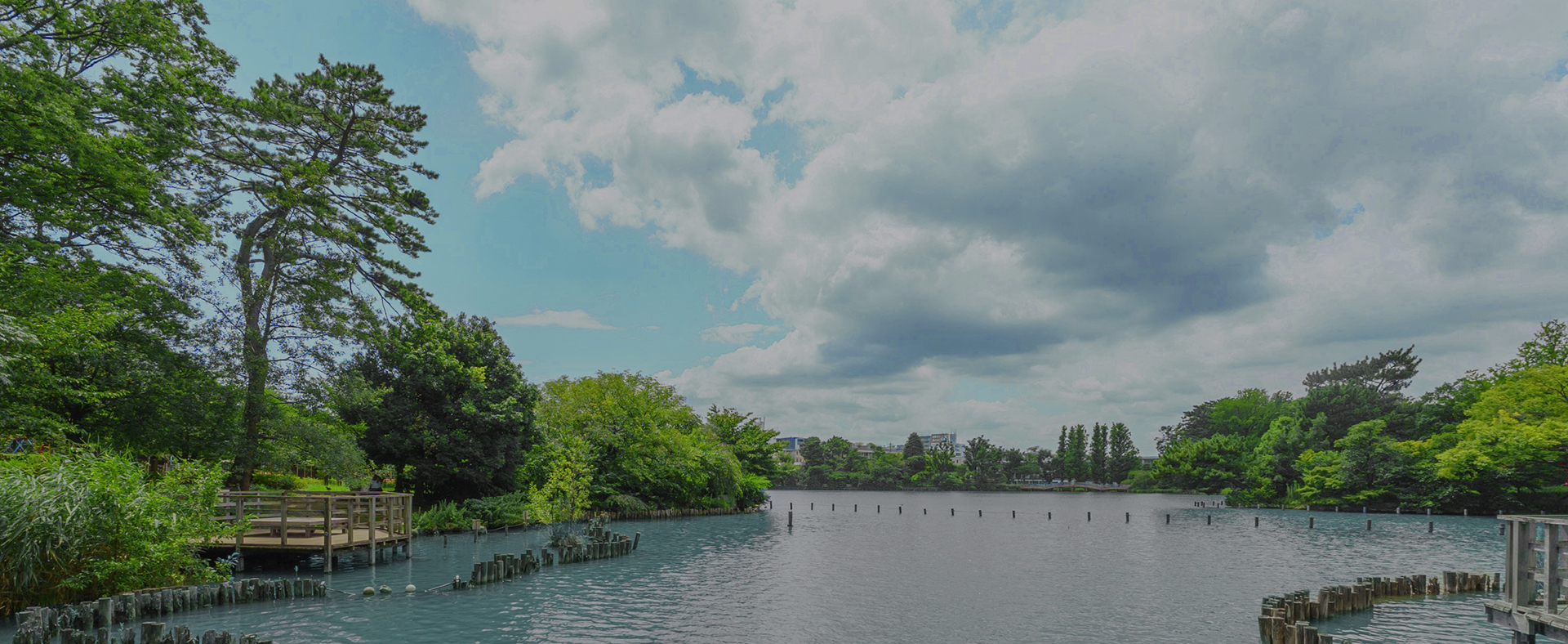 洗足池公園（310m／徒歩4分）