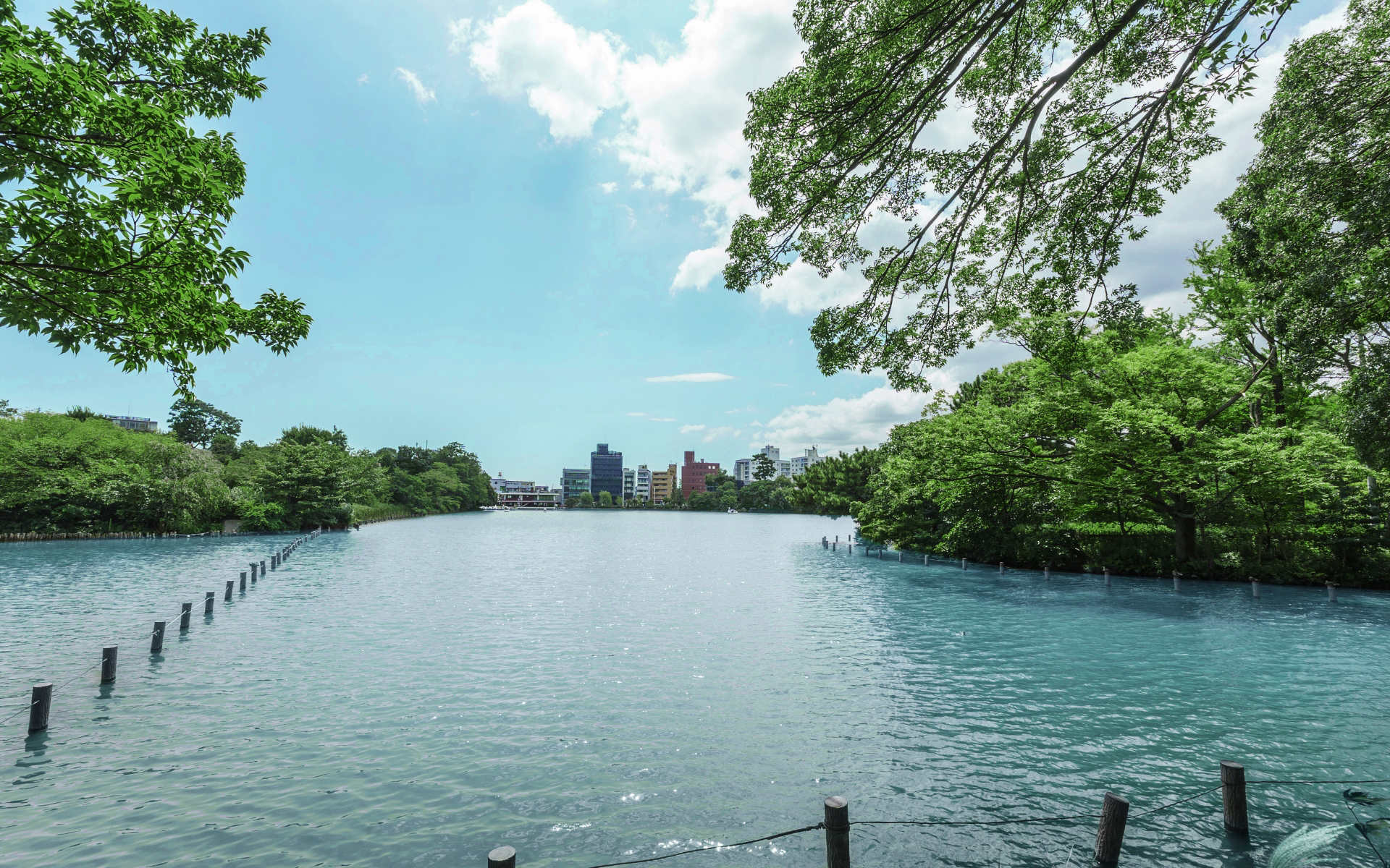 洗足池公園（310m／徒歩4分）