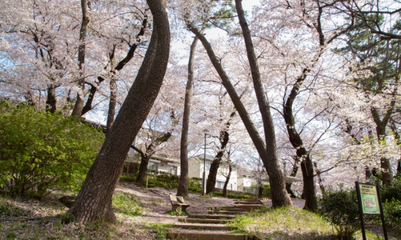 洗足池公園（310m／徒歩4分）