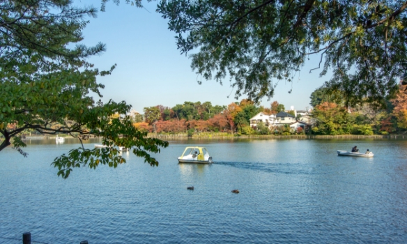 洗足池公園（310m／徒歩4分）