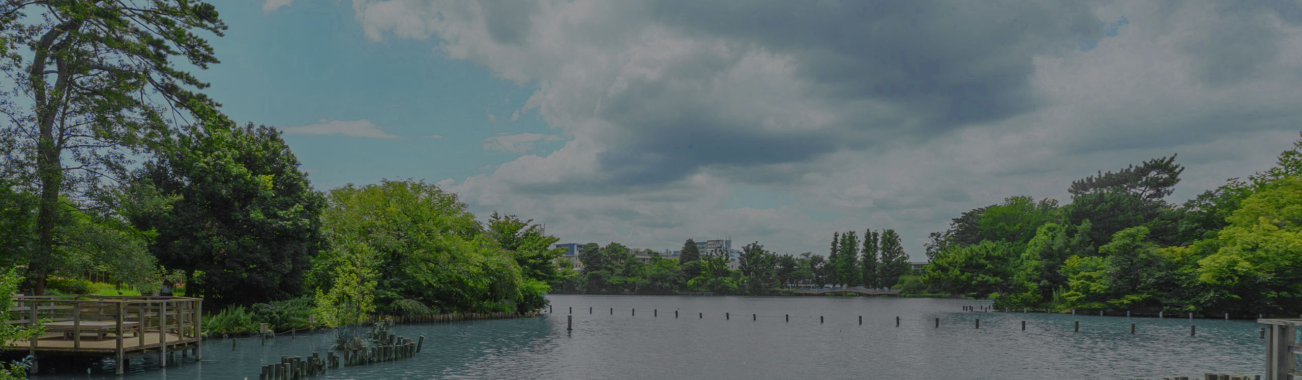 洗足池公園（310m／徒歩4分）