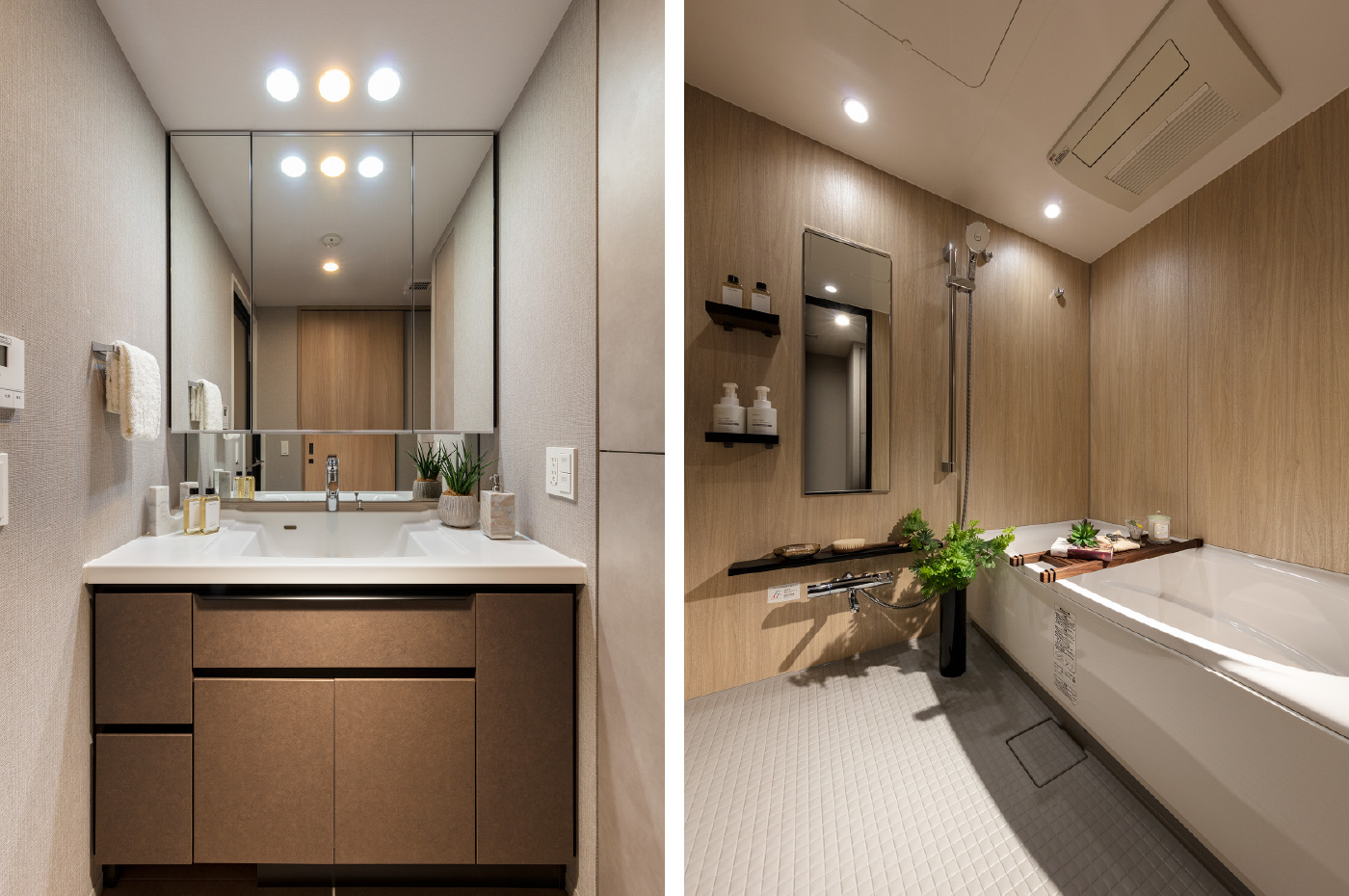 Dressing Room / Bathroom