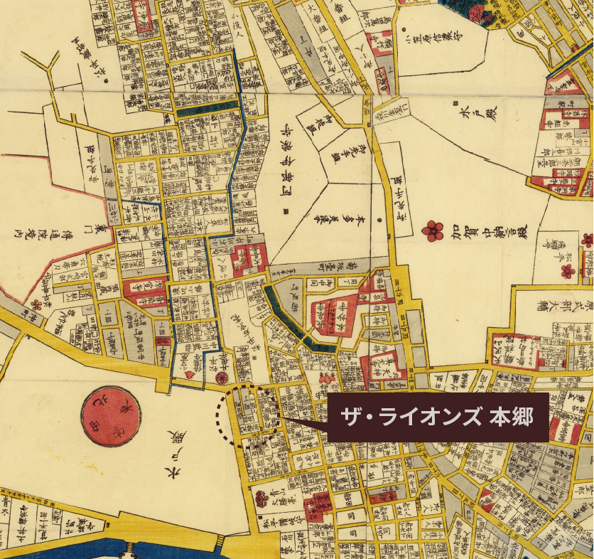 本郷湯島絵図 全