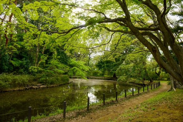 将軍池広場