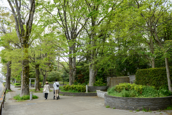 松沢けやき広場