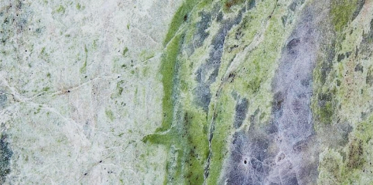 エントランスホール　一部の壁