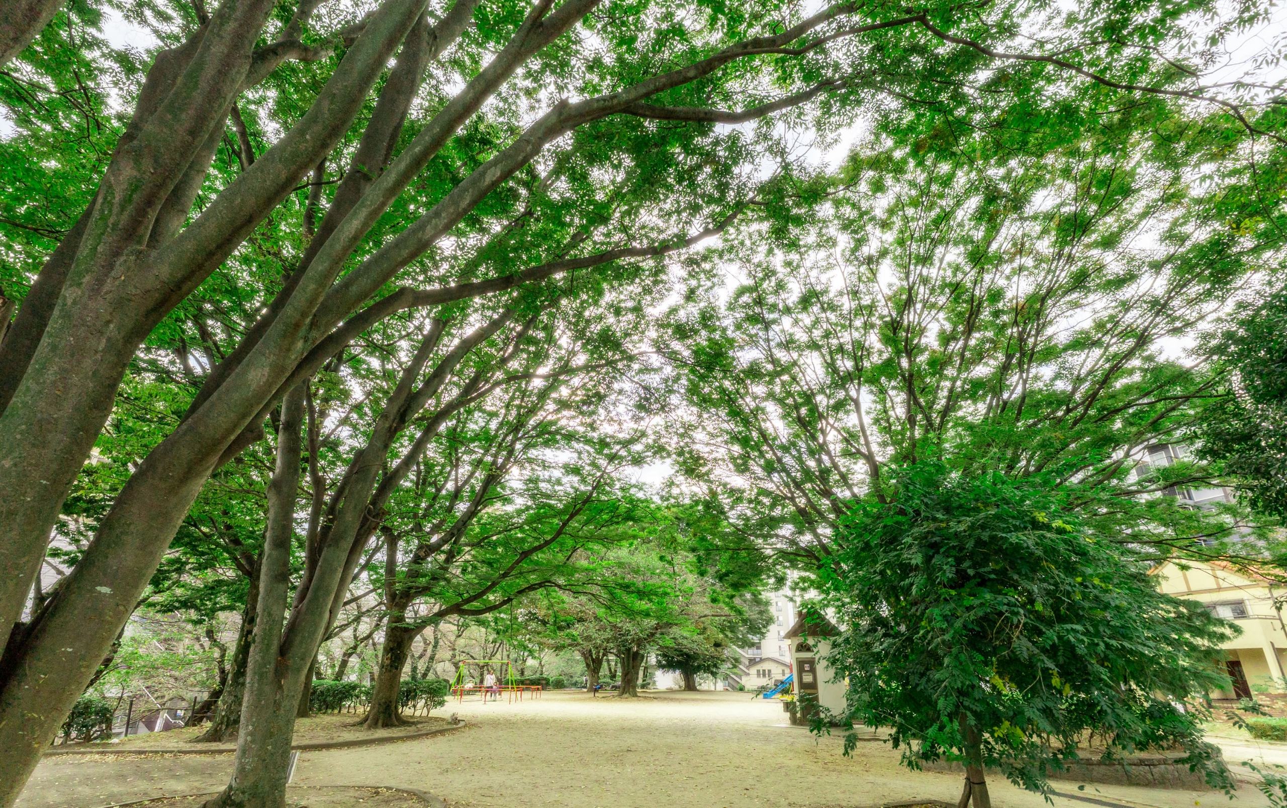 一ツ木公園（300m／徒歩4分）