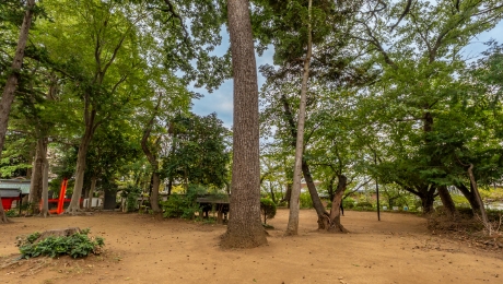 大谷場氷川神社 ふるさとの森