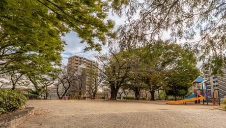 一ツ木公園