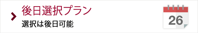 ץ ϸǽ