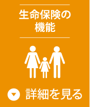 ̿ݸεǽ