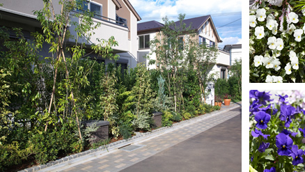 緑豊かな街並みをつくる植栽計画