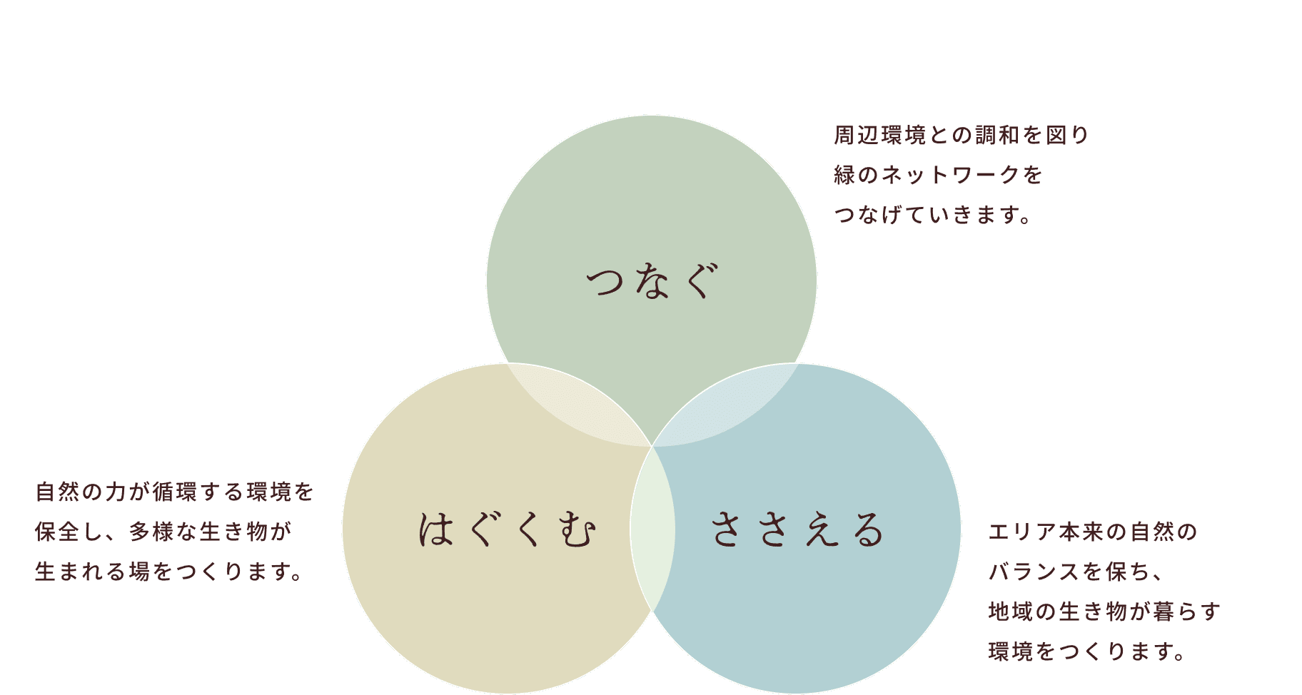 つなぐ 周辺環境との調和を図り緑のネットワークをつなげていきます。/はぐくむ 自然の力が循環する環境を保全し、多様な生き物が生まれる場をつくります。/ささえる
          エリア本来の自然のバランスを保ち、地域の生き物が暮らす環境をつくります。