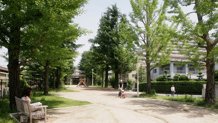 思い出の並木公園(旧大学の並木道)