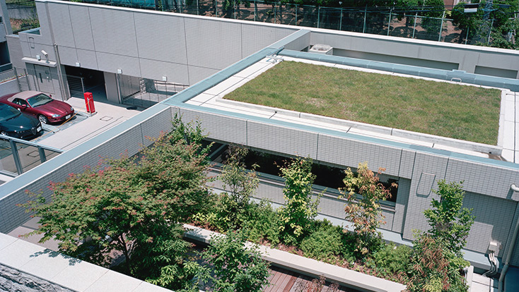 屋上庭園（2010年6月撮影）